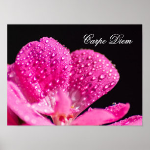 Poster Vivez votre vie en harmonie avec la nature !