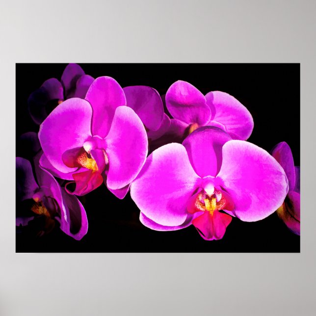 Poster Vivid Orchid (Devant)