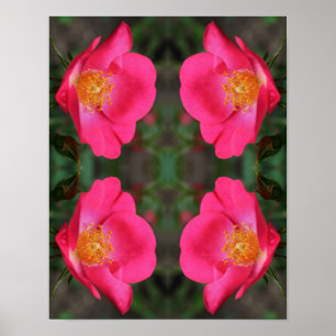 Poster Vivid Pétales rose Abstrait Art Floral