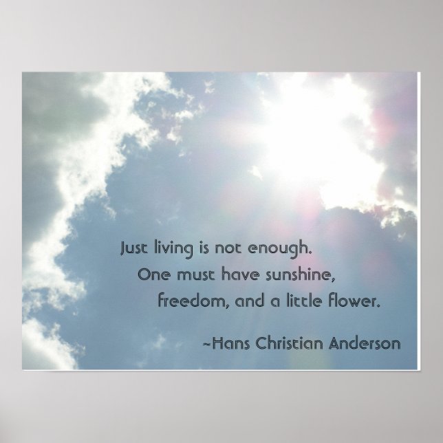 Poster Vivre ne suffit pas. (Devant)