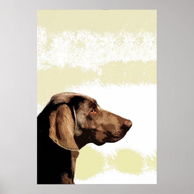 Poster Vizsla (Devant)