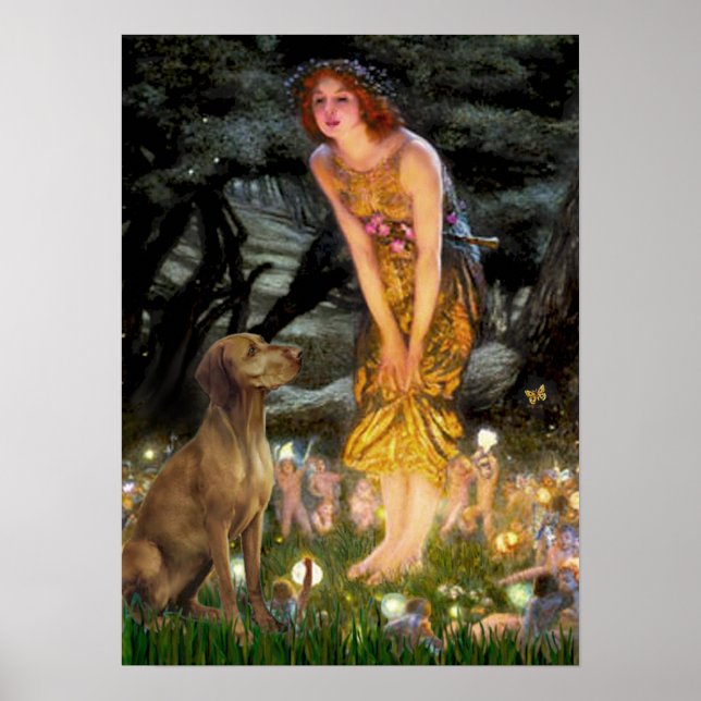 Poster Vizsla 1 - MidEve (Devant)
