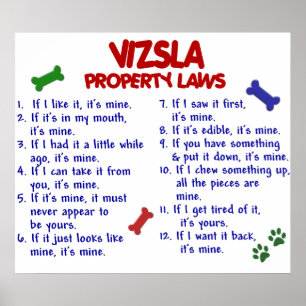 POSTER VIZSLA PL2