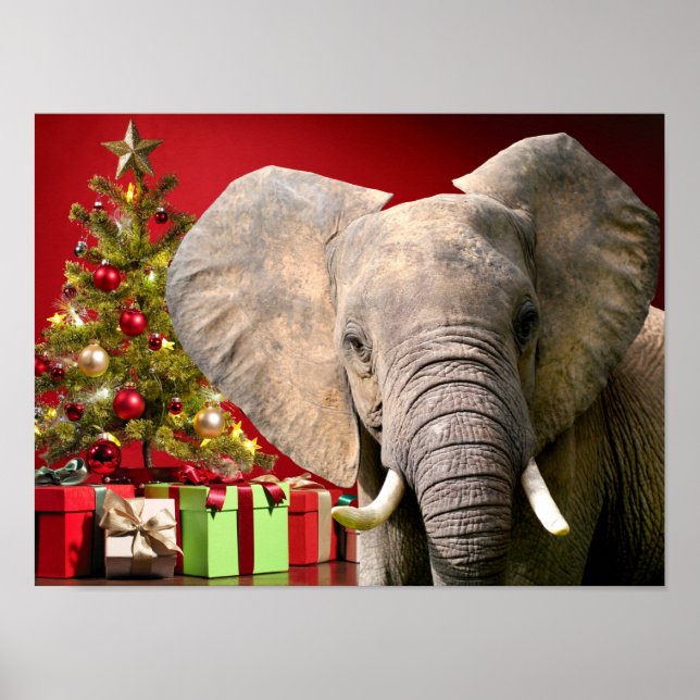 Poster Voeux de Noël éléphant (Devant)