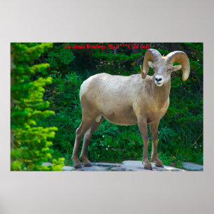 Poster Vœux de Noël Ma chèvre chérie