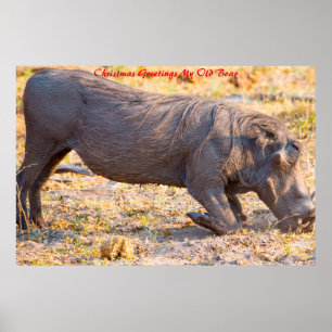 Poster voeux de Noël Mon vieux garçon