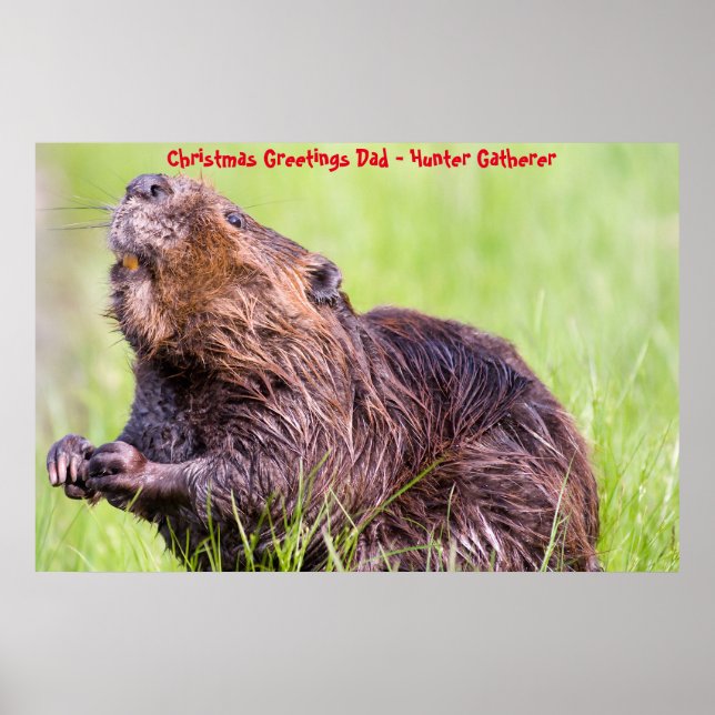 Poster Vœux de Noël Papa Chasseur-Cueilleur (Devant)