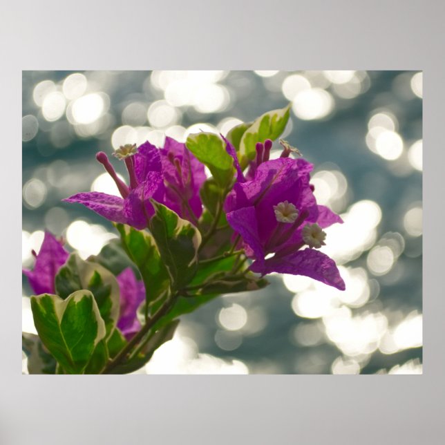 Poster Vœux de saison Fleurs de printemps Bokeh (Devant)