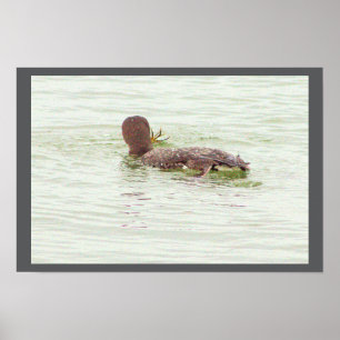 Poster Vogelangeln im Ozean