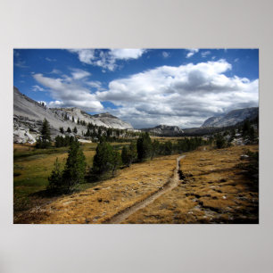 Poster Vogelsang Valley - Yosemite