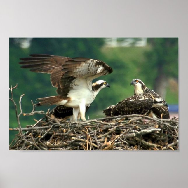 Poster Voici comment ces choses fonctionnent (Devant)