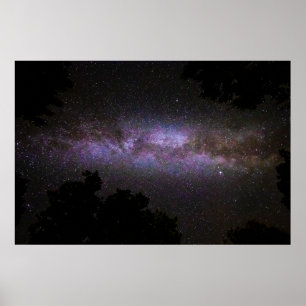 Poster Voie lactée avec silhouette arborée
