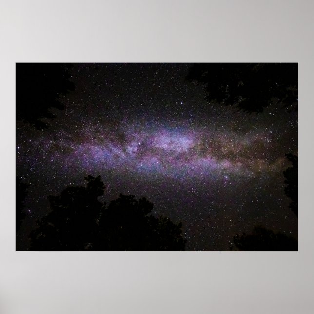 Poster Voie lactée avec silhouette arborée (Devant)