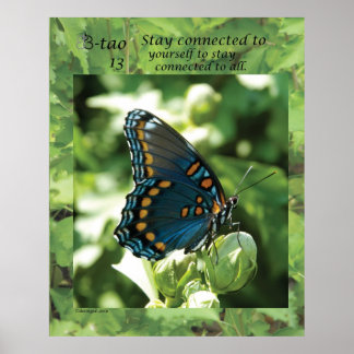 Poster Voie papillon 13 - Restez connecté