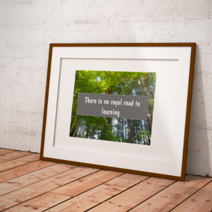 Poster Voie royale vers l'apprentissage de la sagesse pro