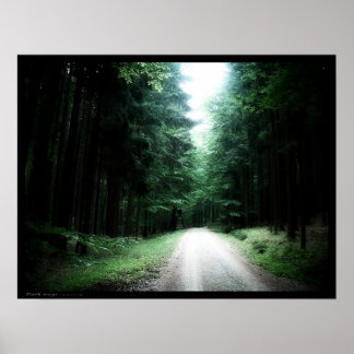 Poster Voies sombres