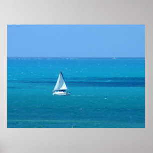 Poster Voile