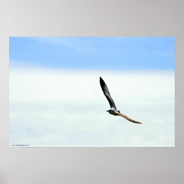 Poster Voile - Customisée (Devant)