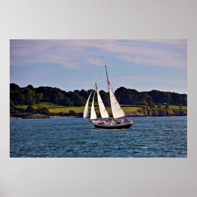 Poster Voile En Newport, Rhode Island, États-Unis (Devant)