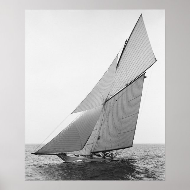 Poster Voile Yacht Gloriana, 1891 (Devant)