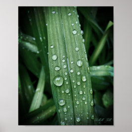 Poster Voir les gouttes de pluie sur l'affiche mat de la 
