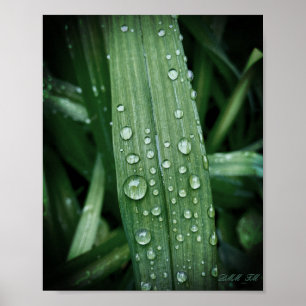 Poster Voir les gouttes de pluie sur l'affiche mat de la 