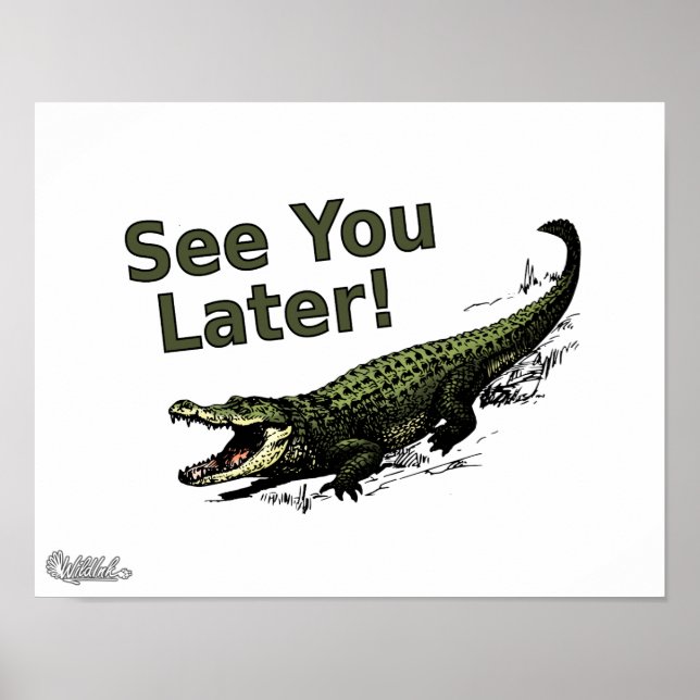 Poster Voir plus tard Alligator (Devant)