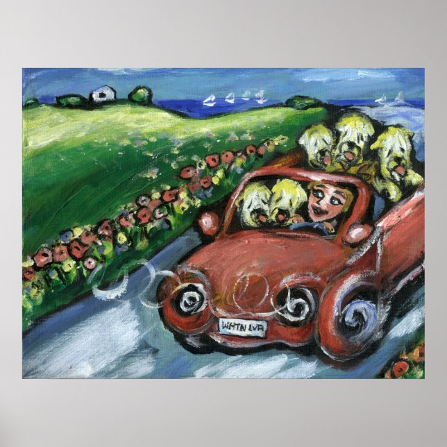 Poster Voiture à roulettes (Devant)