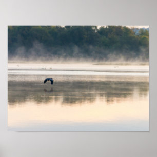 Poster Vol de matin brumeux