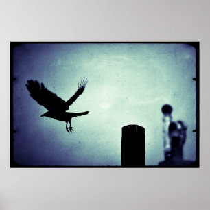 Poster Vol de nuit de la pie