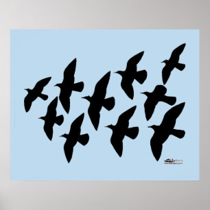 Poster Vol de pigeons