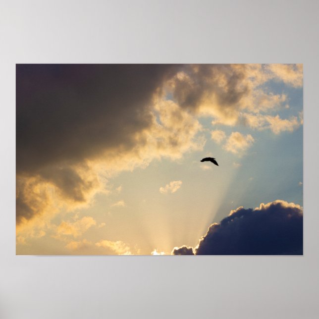Poster Vol d'oiseaux au coucher du soleil (Devant)