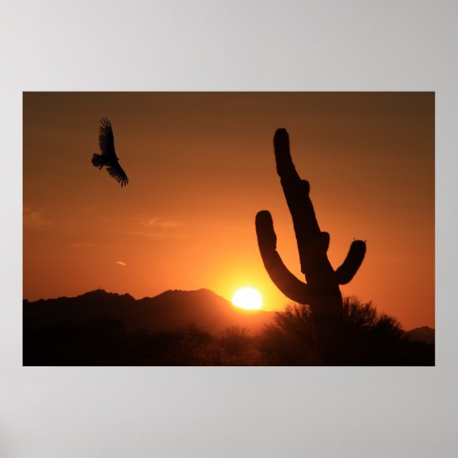 Poster Vol du coucher du soleil (Devant)