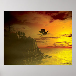 Poster Vol du soir