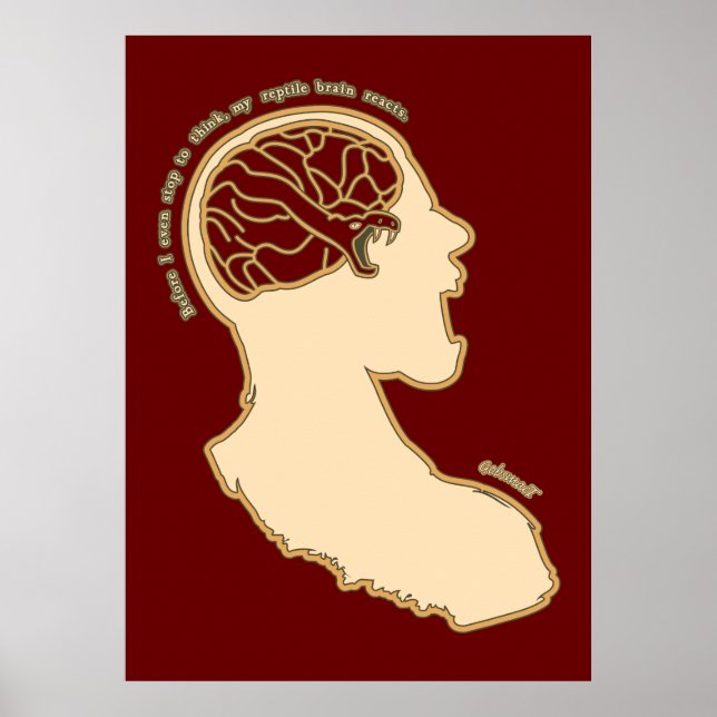 Poster Vol ou vol (Devant)