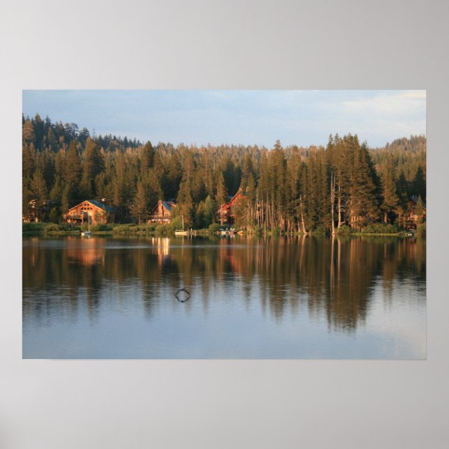 Poster Vol silencieux (Devant)