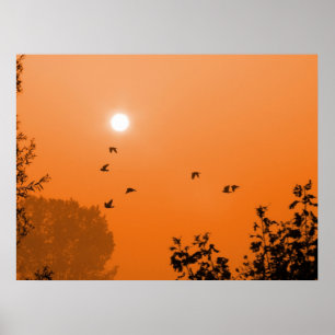 Poster Voler à l'aube Imprimer