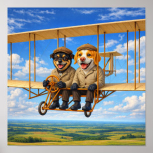 Poster "Voler en altitude"
