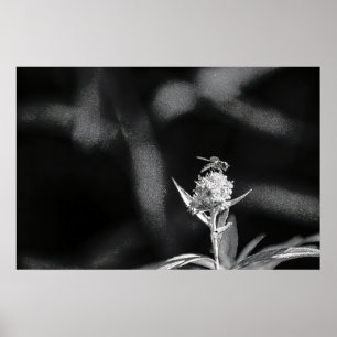 Poster Voler uniquement de l'or