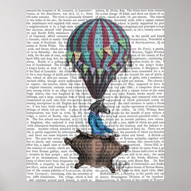 Poster Voler Zebra (Devant)