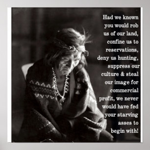 Poster Voleurs de terrains