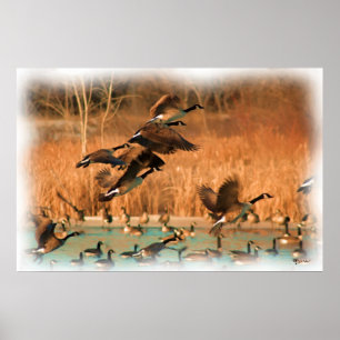 POSTER VOLS DE FANCY IMPRIMER