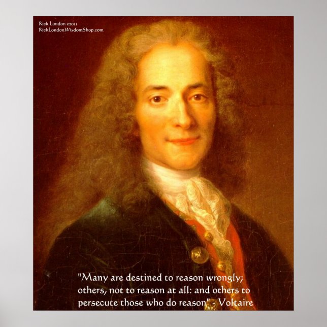 Poster Voltaire Reason Citation Beaux-Arts (Devant)