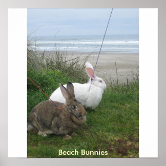 Poster von Beach Bunnies - individuell gestaltet