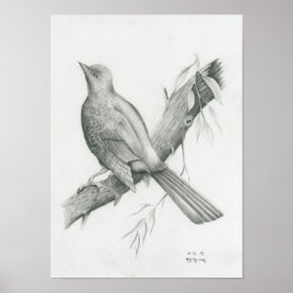 Poster von Cambodian Bird 1 von Vannak Anan Prum