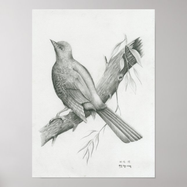 Poster von Cambodian Bird 1 von Vannak Anan Prum (Vorne)