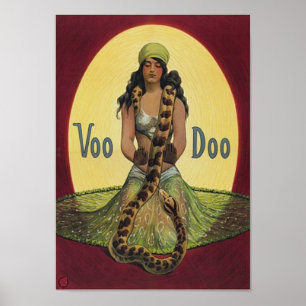 Poster Voo Doo
