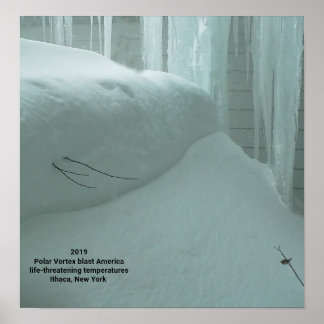 POSTER VORTEX POLAIRE ATTEINT ITHACA NEW YORK 2019