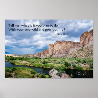 Poster Votre vie sauvage et précieuse