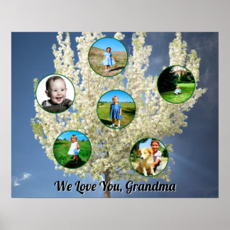 Poster Vous aimez grand-mère arbre à fleurs blanches Six